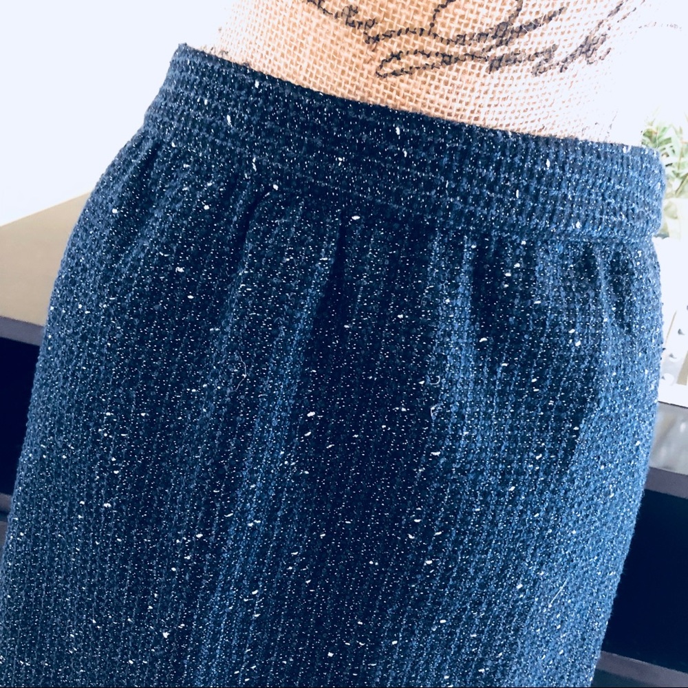 SOLD Ann Taylor Loft Petite Skirt Size 2P - Picture 3 of 4